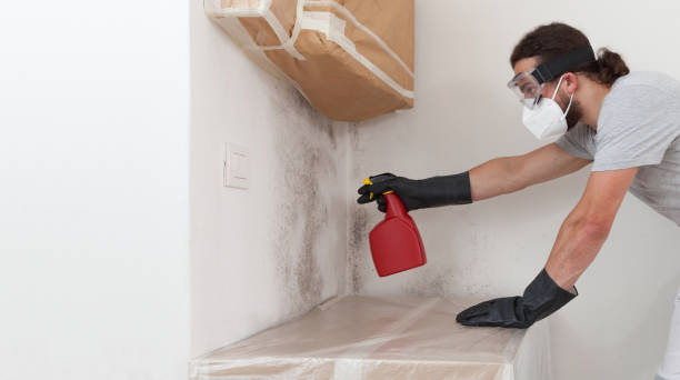 Professional Mold Removal technician working in Huntington Station, NY